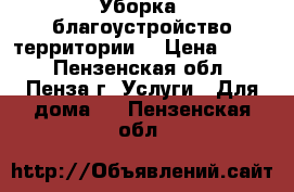 Уборка, благоустройство территории. › Цена ­ 100 - Пензенская обл., Пенза г. Услуги » Для дома   . Пензенская обл.